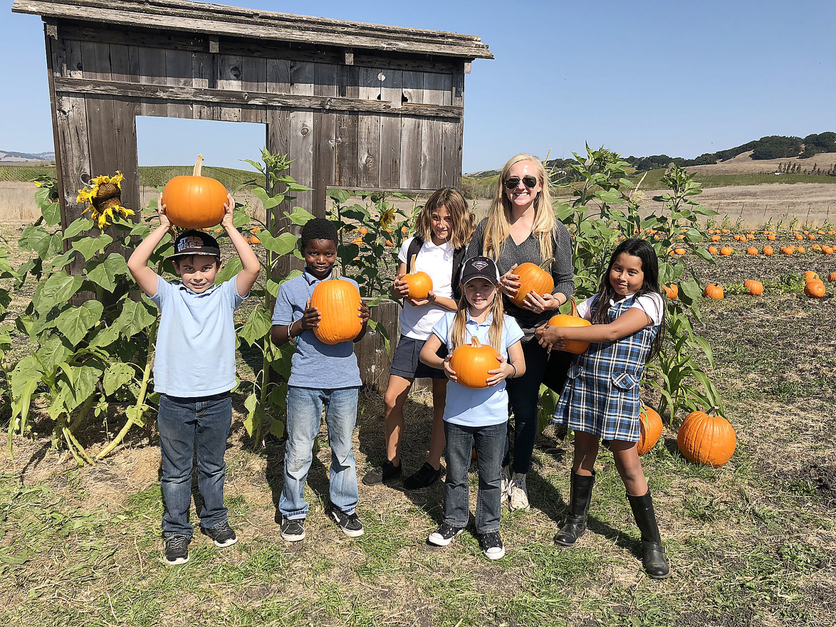 Pumpkin Patch